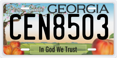 GA license plate CEN8503