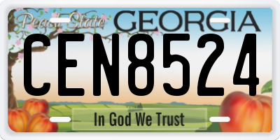 GA license plate CEN8524