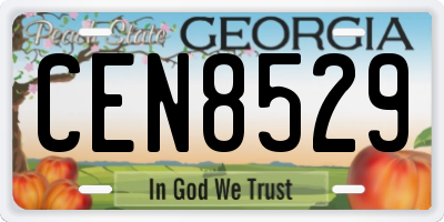 GA license plate CEN8529