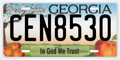 GA license plate CEN8530