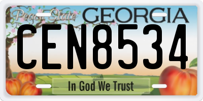 GA license plate CEN8534