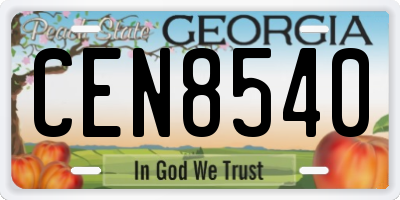 GA license plate CEN8540