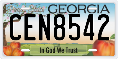 GA license plate CEN8542