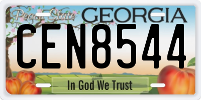GA license plate CEN8544