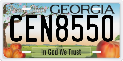 GA license plate CEN8550