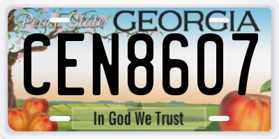 GA license plate CEN8607