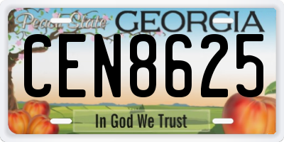GA license plate CEN8625