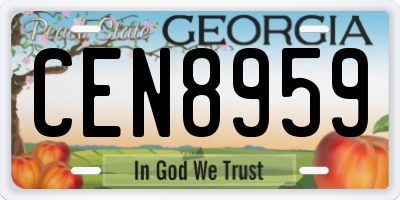 GA license plate CEN8959