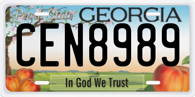 GA license plate CEN8989