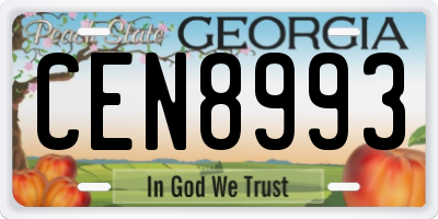 GA license plate CEN8993