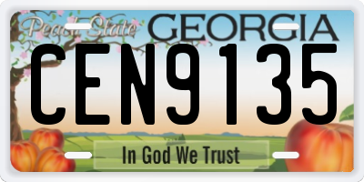 GA license plate CEN9135