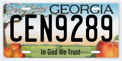 GA license plate CEN9289