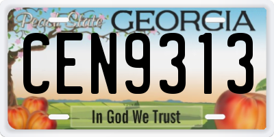 GA license plate CEN9313