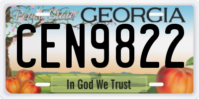 GA license plate CEN9822