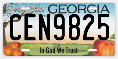 GA license plate CEN9825