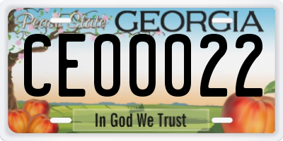 GA license plate CEO0022