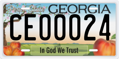 GA license plate CEO0024