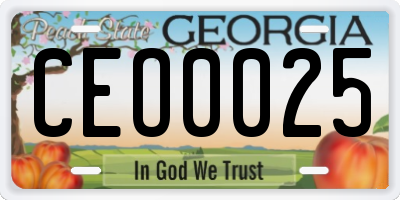 GA license plate CEO0025