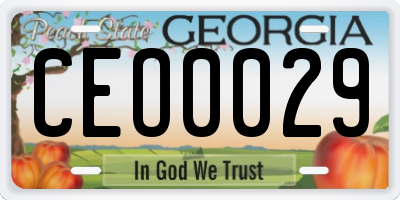 GA license plate CEO0029
