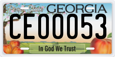 GA license plate CEO0053