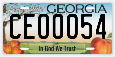 GA license plate CEO0054