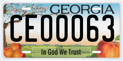 GA license plate CEO0063