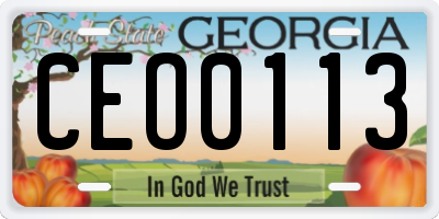 GA license plate CEO0113