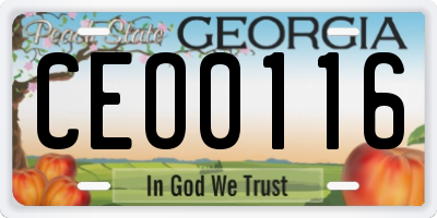 GA license plate CEO0116