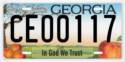 GA license plate CEO0117