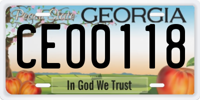GA license plate CEO0118