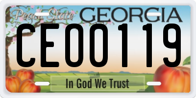 GA license plate CEO0119
