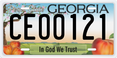 GA license plate CEO0121