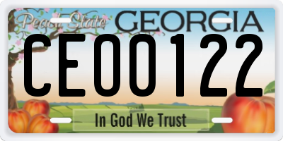 GA license plate CEO0122