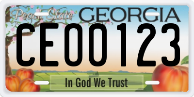 GA license plate CEO0123