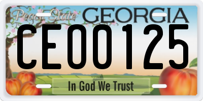 GA license plate CEO0125