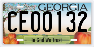 GA license plate CEO0132