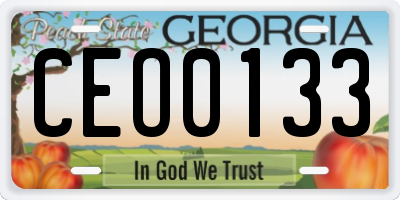 GA license plate CEO0133