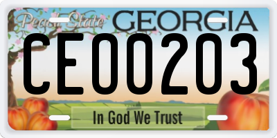 GA license plate CEO0203