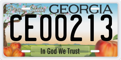 GA license plate CEO0213