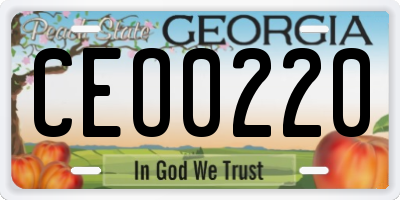 GA license plate CEO0220
