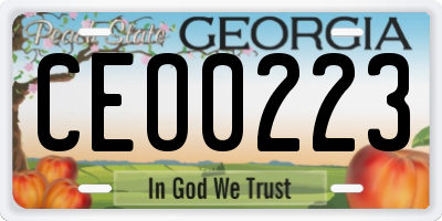 GA license plate CEO0223