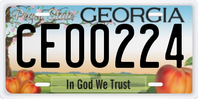 GA license plate CEO0224