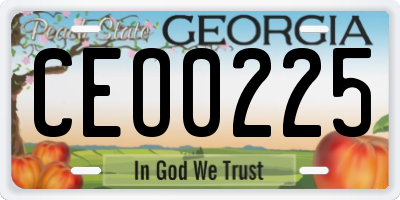 GA license plate CEO0225