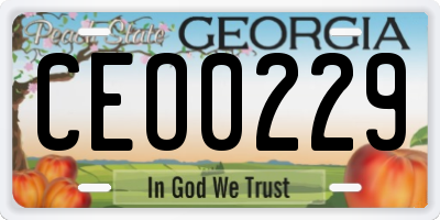 GA license plate CEO0229