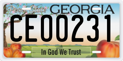 GA license plate CEO0231