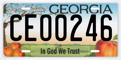GA license plate CEO0246