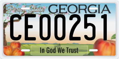 GA license plate CEO0251