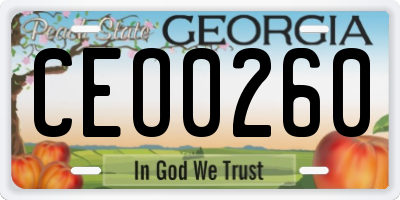 GA license plate CEO0260
