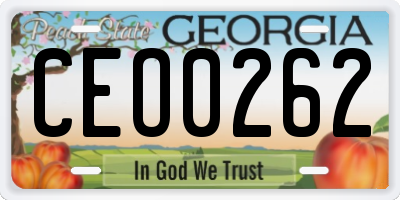 GA license plate CEO0262