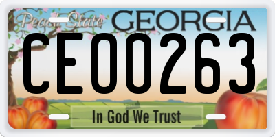 GA license plate CEO0263